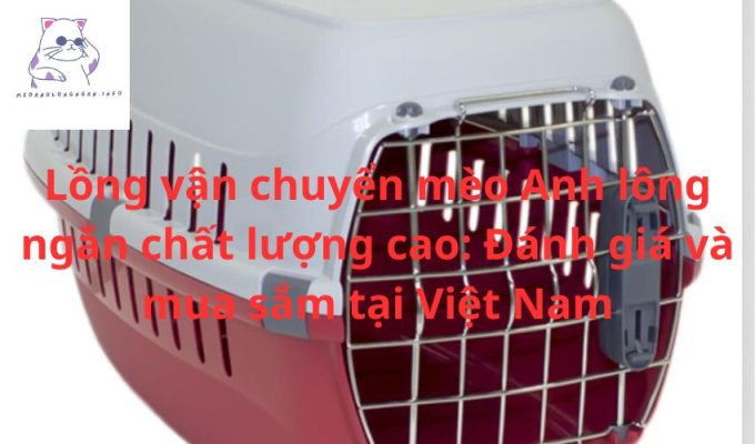 Lồng vận chuyển mèo Anh lông ngắn chất lượng cao: Đánh giá và mua sắm tại Việt Nam