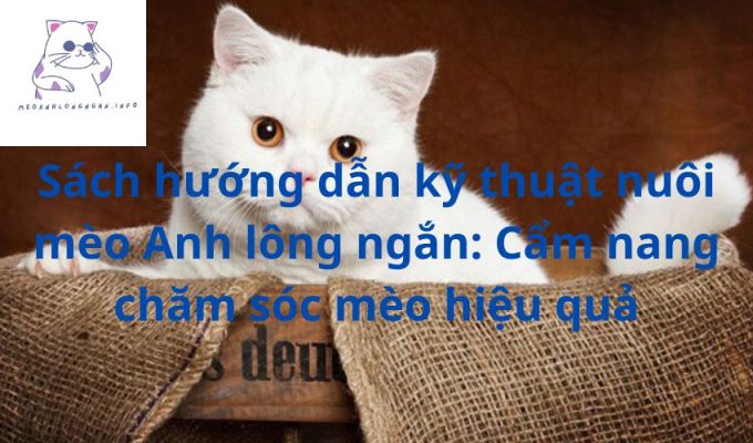 Sách hướng dẫn kỹ thuật nuôi mèo Anh lông ngắn: Cẩm nang chăm sóc mèo hiệu quả